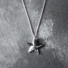Load image into Gallery viewer, Limited Edition North Star Silver necklace