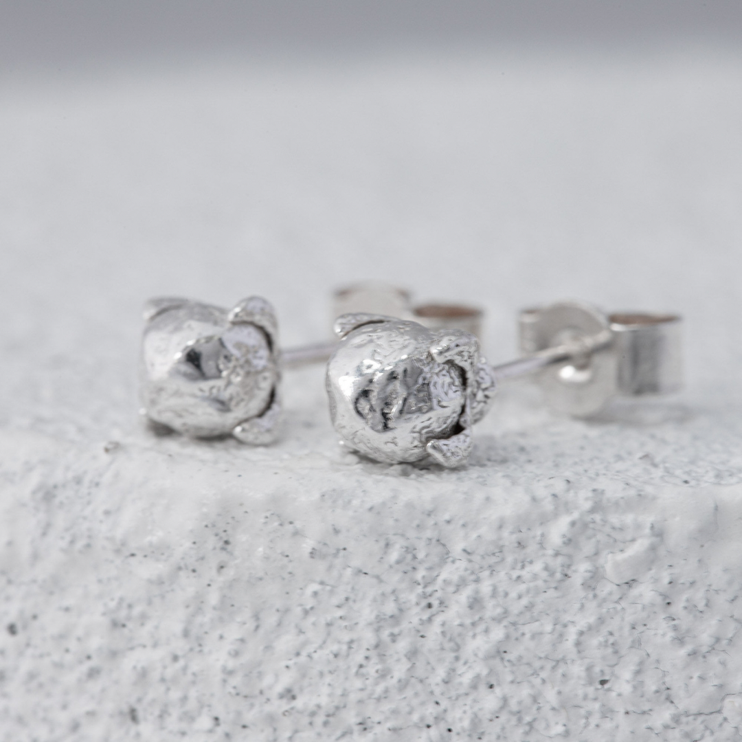 Dainty silver stud shop earrings