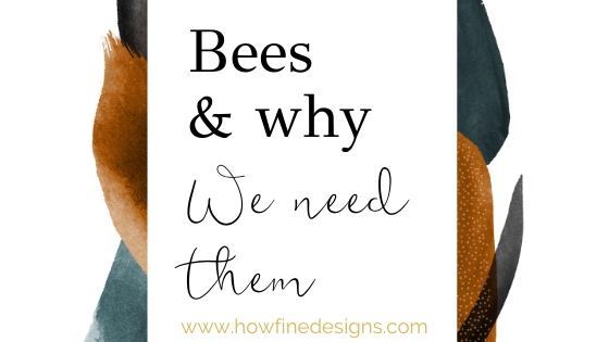 Bees and why we need them so much for our future