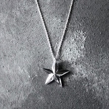 Load image into Gallery viewer, Limited Edition North Star Silver necklace
