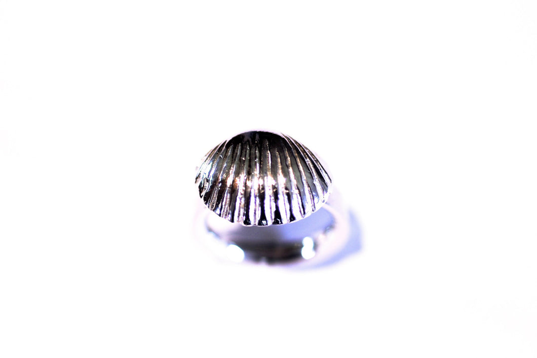 Seaside Dreams Sea Shell Ring Silver
