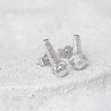 Load image into Gallery viewer, Silver Clove stud earrings Limited Edition Christmas Collection
