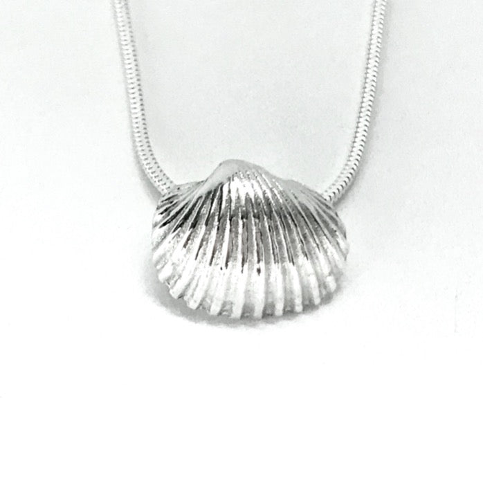 Silver seashell necklace on silver chain