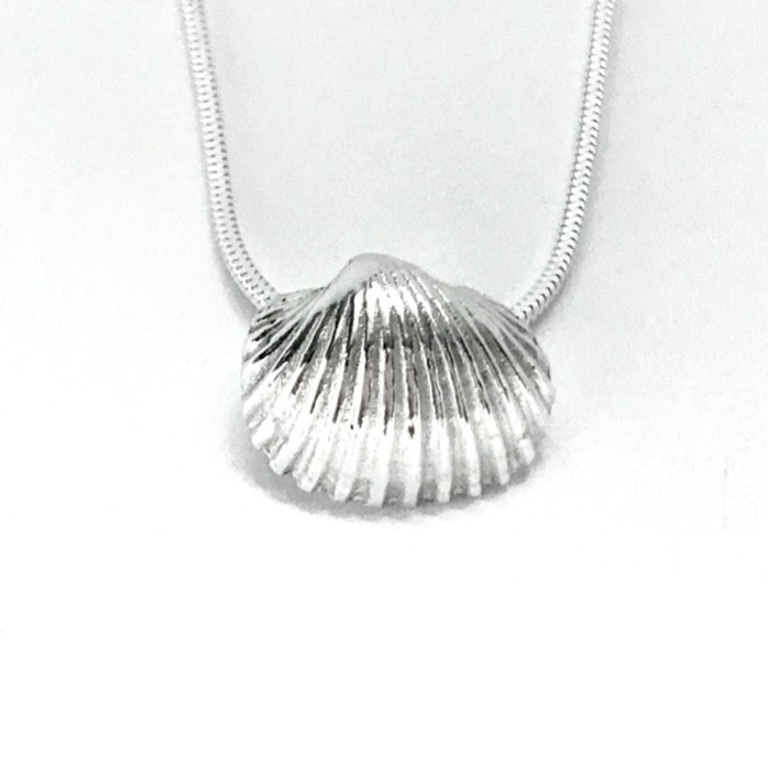 Silver seashell necklace on silver chain
